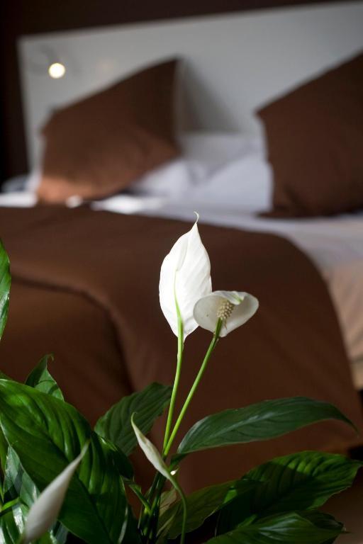 La Sèquia Molinar Hotel